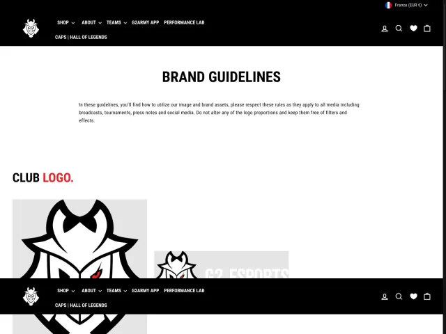 G2 Esports guidelines: Brand Guidelines