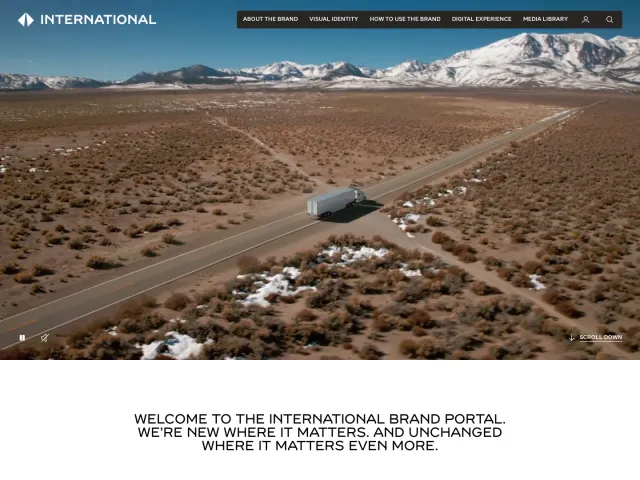 International Motors guidelines: International brand portal