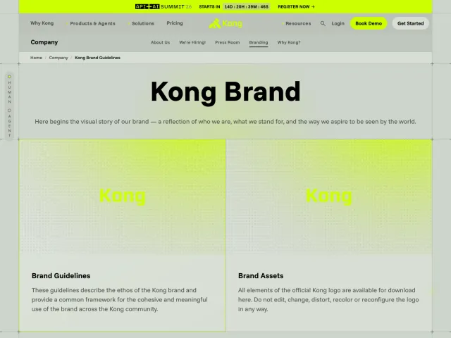 Kong guidelines: Kong Brand