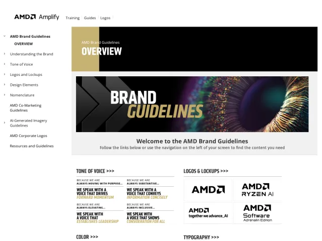 AMD guidelines: AMD