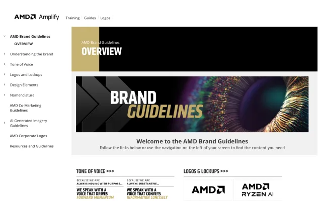 AMD guidelines: AMD