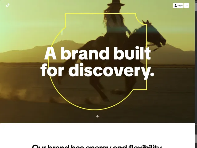 TikTok guidelines: TikTok Brand Hub